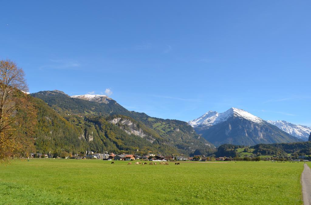 マイリンゲンMountain-Panoramaアパートメント エクステリア 写真