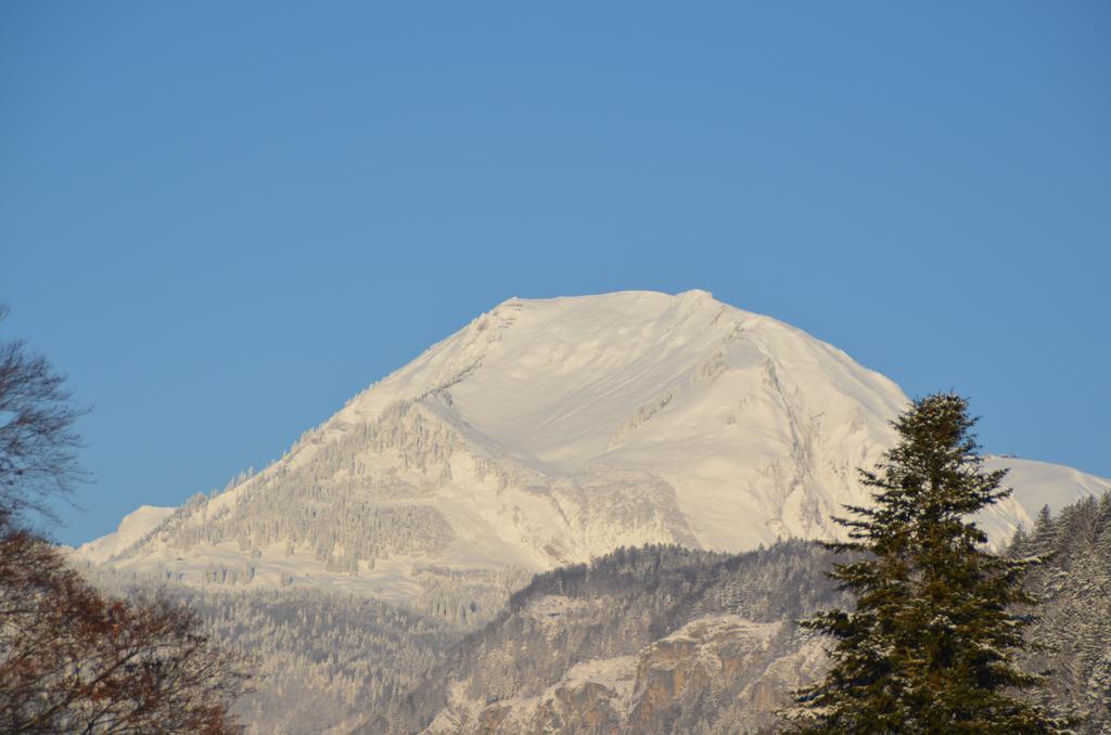 マイリンゲンMountain-Panoramaアパートメント エクステリア 写真