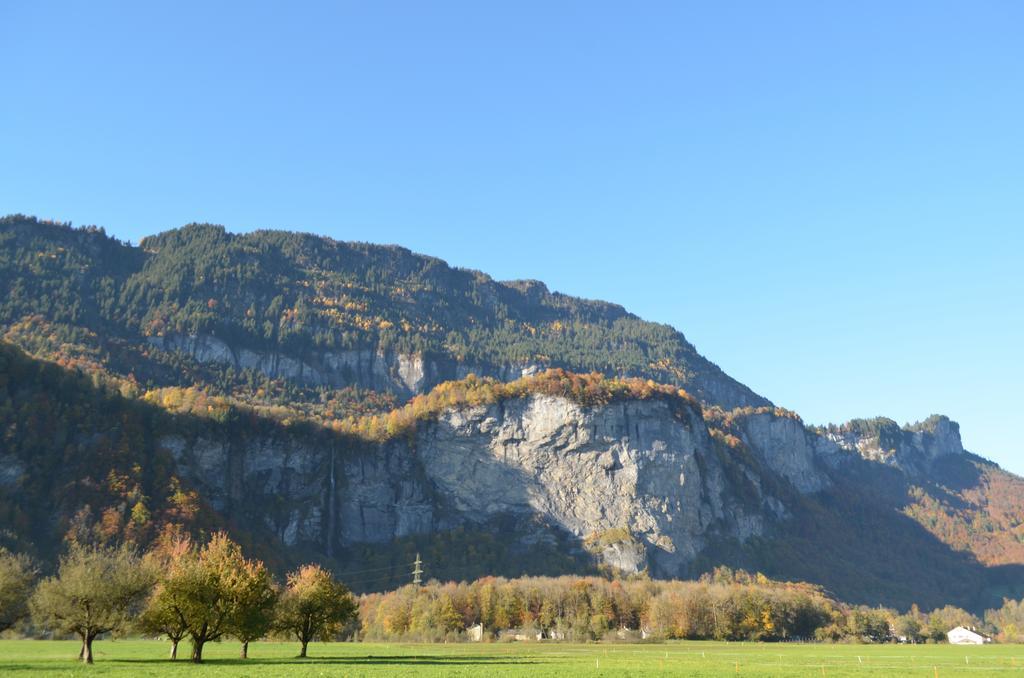 マイリンゲンMountain-Panoramaアパートメント エクステリア 写真